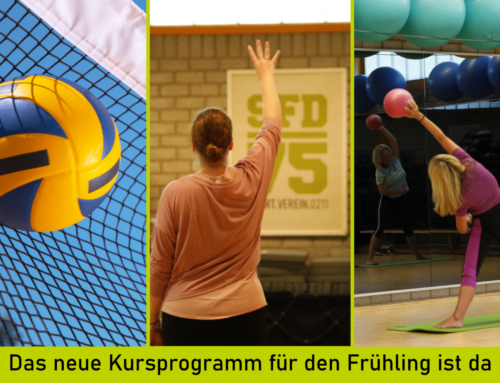 Das neue Kursprogramm ist da