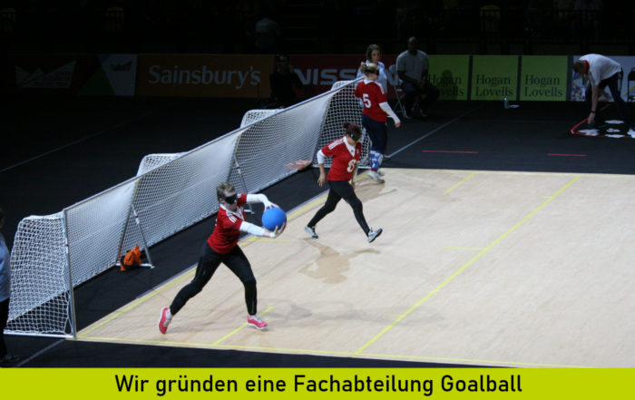 Goalball bei den Paralympics. Foto: Pixabay / amcnaught